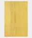 Yellow Kora Organza Embroidery Saree T2503563