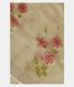 Light Green Kora Organza Printed Saree T2507961