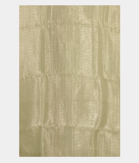 Light Green Kora Organza Printed Saree T2507963