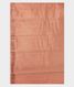 Salmon Pink Chaniya Silk Saree T2488063