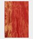 Red Bandhani Gajji Silk Saree T2503143