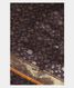 Purple Banaras Tussar Saree T2121711