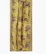 Yellow Kora Organza Embroidery Saree T2506472