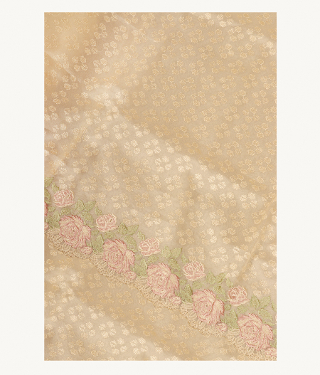 Cream Yellow Kora Organza Embroidery Saree T220893-image