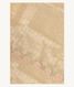 Cream Yellow Kora Organza Embroidery Saree T2208931