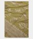 Green Banaras Silk Saree T2510841