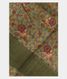 Green Tussar Printed Saree T2513401