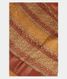 Multicolour Tussar Printed Saree T2521131