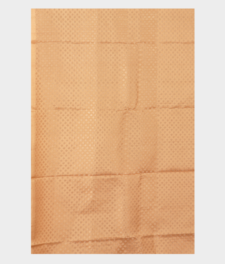 Beige Handwoven Kanjivaram Silk Saree T2507053