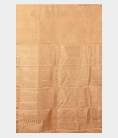 Beige Handwoven Kanjivaram Silk Saree T2507054