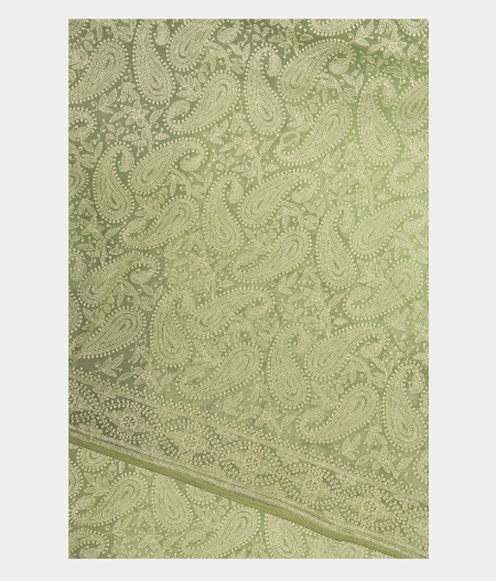 Light Green Organza Embroidery SareeT252776-image