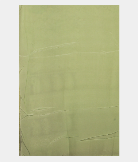 Light Green Organza Embroidery SareeT2527763