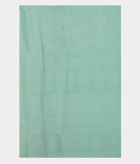 Light Blue Kora Organza Embroidery Saree T2527713