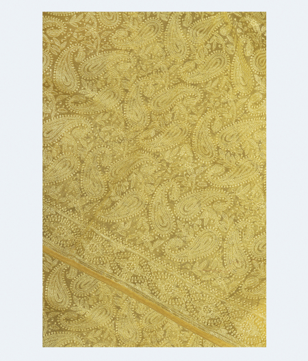 Yellow Kora Organza Embroidery Saree T252773-image