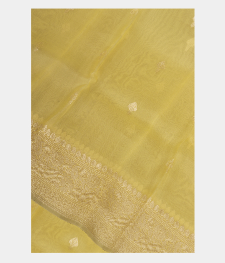 Light Yellow Banaras Organza Saree T187183-image