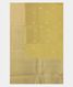 Light Yellow Banaras Organza Saree T1871834