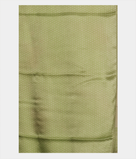 green-chiffon-printed-silk-saree-t221800-t221800-c