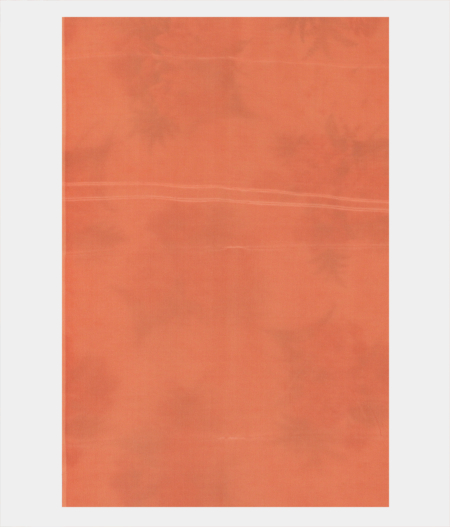 white-chiffon-printed-silk-saree-t221789-t221789-c