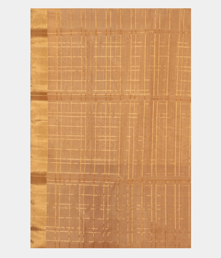 Beige Silk Cotton Saree T2424173