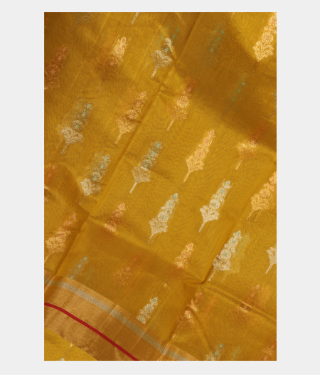 Mehndi Green Chanderi Silk Saree T226939-image