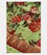 Light Green Printed Soft Silk Saree T2489571