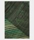 Green Tussar Printed Saree T2393751