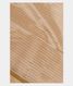 Off-White Silk Cotton Saree T2383041