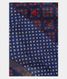 Blue Tussar Printed Saree T2481781
