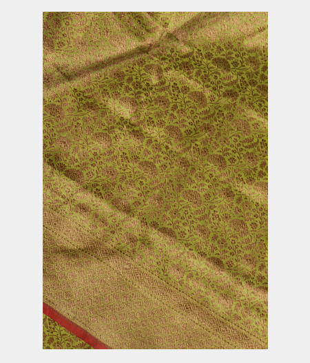Green Banaras Silk Saree T254180-image