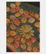 dark-grey-tussar-cut-work-saree-t251749-t251749-a