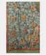 green-tussar-cut-work-saree-t240204-t240204-d