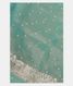 Sky Blue Kora Organza Embroidery Saree T2209951