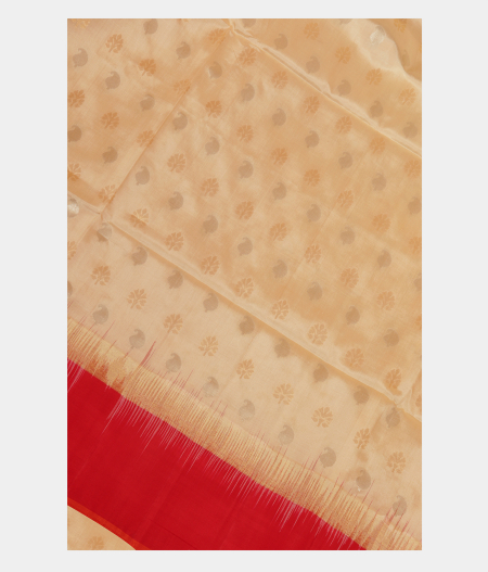 Cream Soft Silk Saree T243455-image