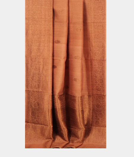 Beige Tussar Saree T2489912