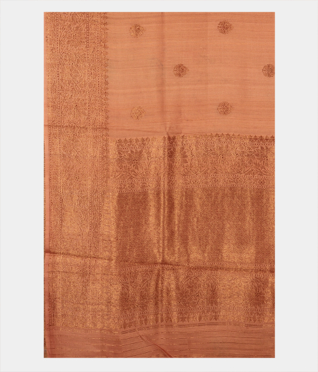 Beige Tussar Saree T2489914