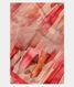 multicolour-satin-crepe-silk-sareet240832-t240832-a