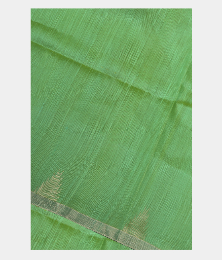 Light Green Woven Raw Silk Saree T254566-image