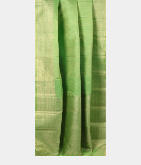 Green Handwoven Kanjivaram Silk Saree T2572372