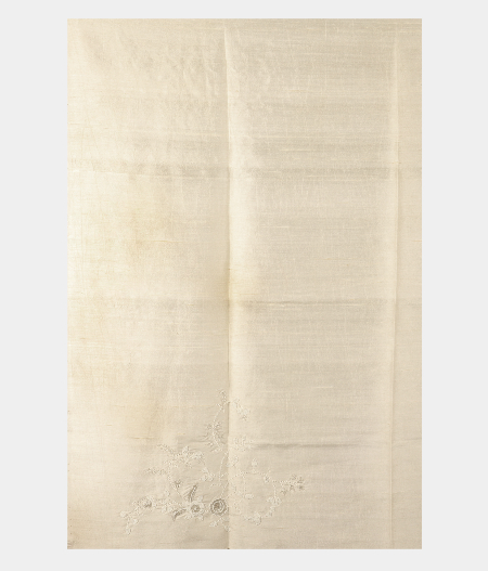 cream-organza-embroidery-sareet171920-t171920-c