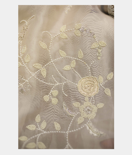 cream-organza-embroidery-sareet171920-t171920-d