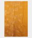 yellow-tussar-embroidery-saree-t251530-t251530-d