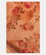 Peach Tussar Printed Saree T2037841