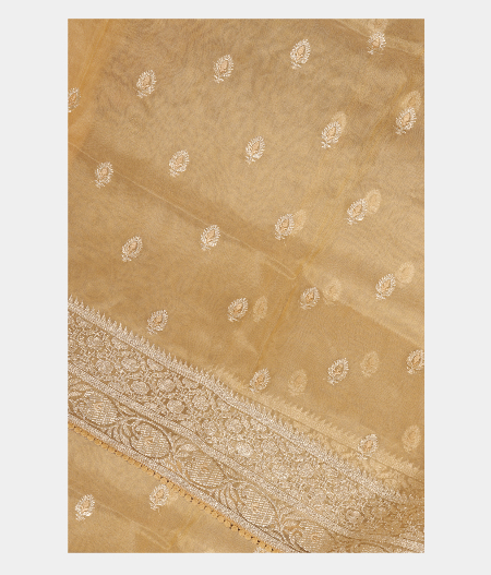 Beige organza Embroidery Saree T259080-image