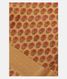 Beige Soft Tussar Printed Saree T2578401