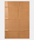 Beige Soft Tussar Printed Saree T2578403