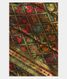 Bottle Green Cashmere Kani Silk Dupatta T2134861