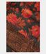 Dark Grey Tussar Printed Saree T2546921