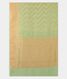 Light Green Banaras Georgette Silk Saree T2592064