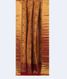 Mustard Yellow  Printed Raw Silk Saree T2586182