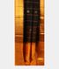 Black Silk Cotton Saree T2381192